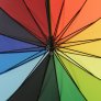 19NH-0331-umbrella in various colors