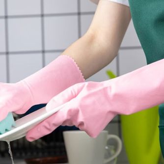 Household Gloves